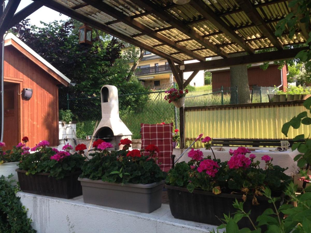Am Balkon Des Erzgebirges Apartment Bernsbach Екстериор снимка
