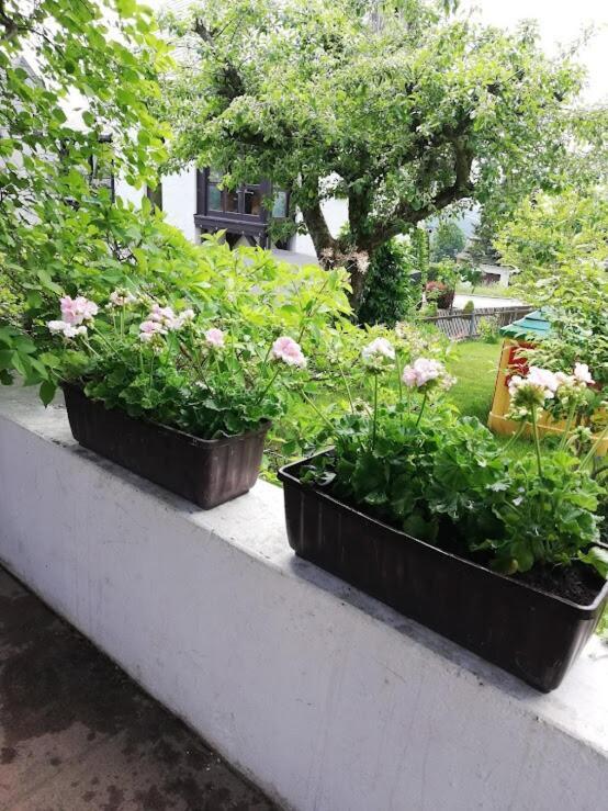 Am Balkon Des Erzgebirges Apartment Bernsbach Екстериор снимка