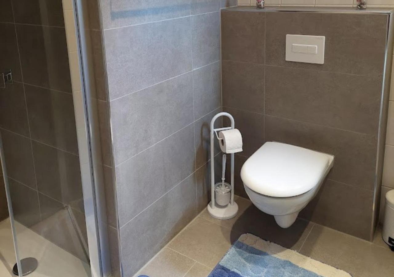 Am Balkon Des Erzgebirges Apartment Bernsbach Екстериор снимка