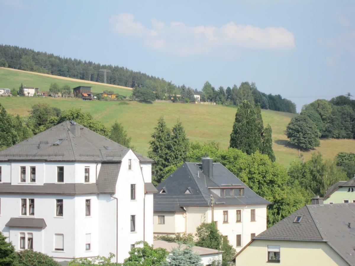 Am Balkon Des Erzgebirges Apartment Bernsbach Екстериор снимка